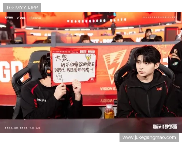 和平精英战队JDG的团队协作与战术配合深度分析与探讨