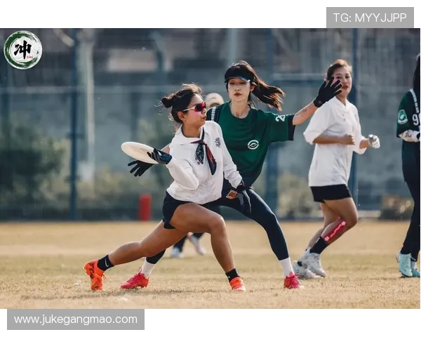 飞盘热潮下的北京飞盘队反击策略与发展前景分析