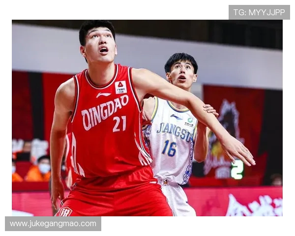 2016至2017赛季辽宁队与青岛队精彩对决回顾与分析