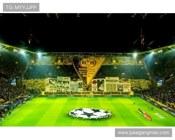 切尔西与西布朗精彩对决集锦回顾展现足球魅力与激情瞬间